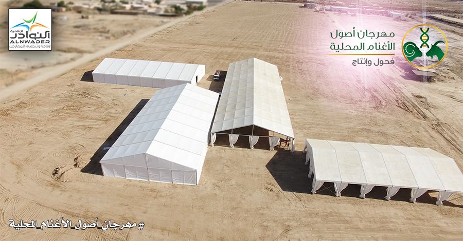 مراحل تنظيم وتأسيس موقع مهرجان حفظ أصول الأغنام المحلية لعام 1438 هـ