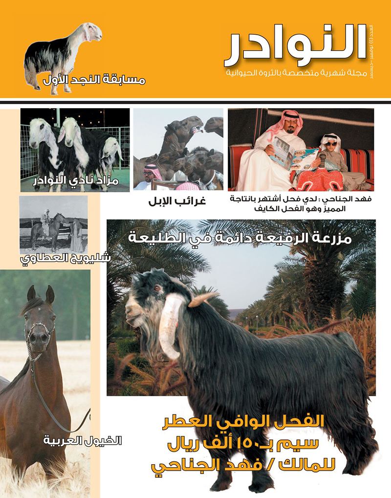 العدد الرابع