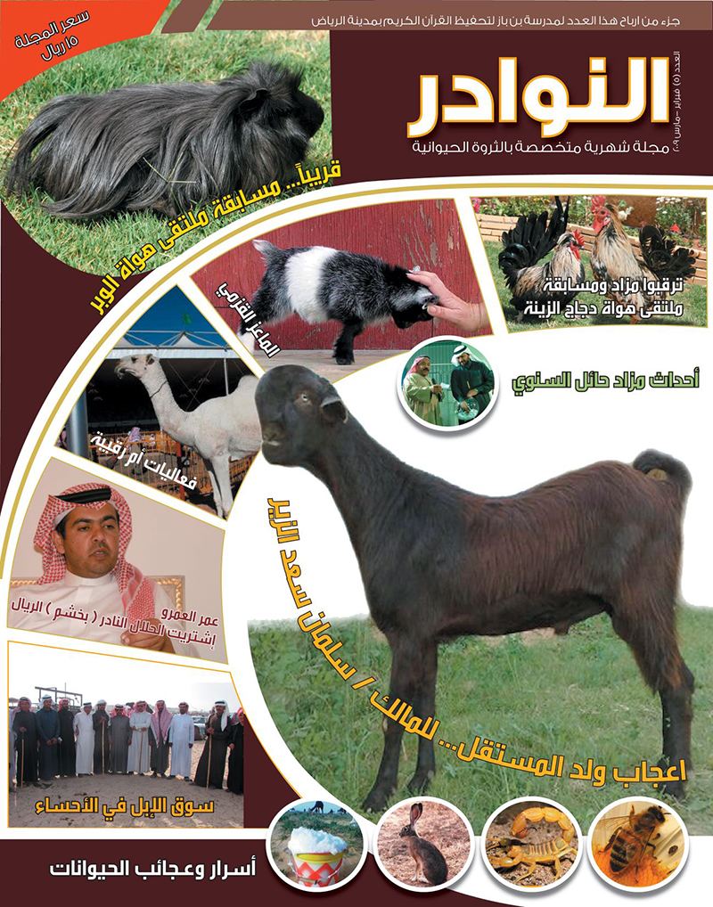 العدد الخامس